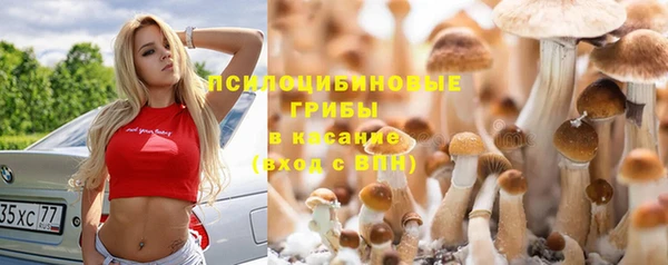 мяу мяу кристалл Аркадак