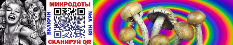 Галлюциногенные грибы GOLDEN TEACHER где можно купить наркотик площадка как зайти Судогда hydra ONION